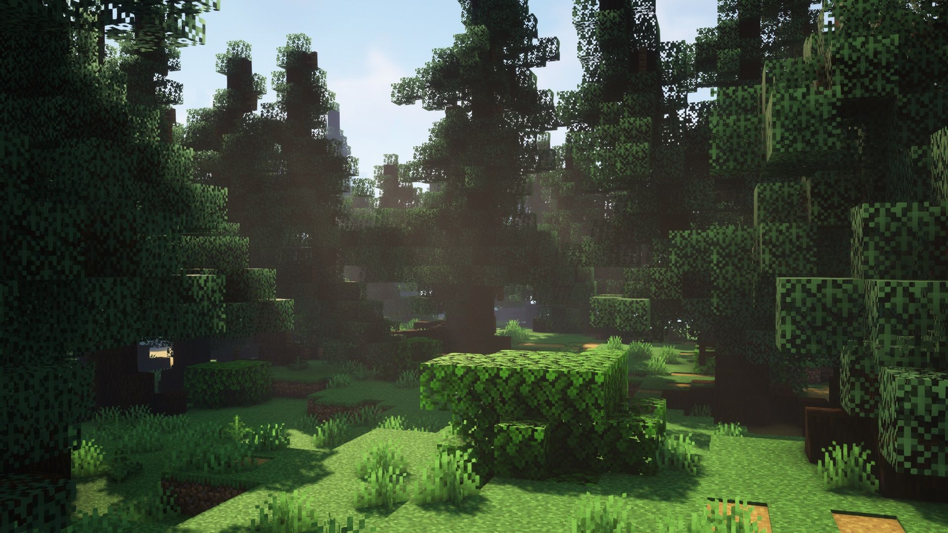 shader_20220403_224322.jpg